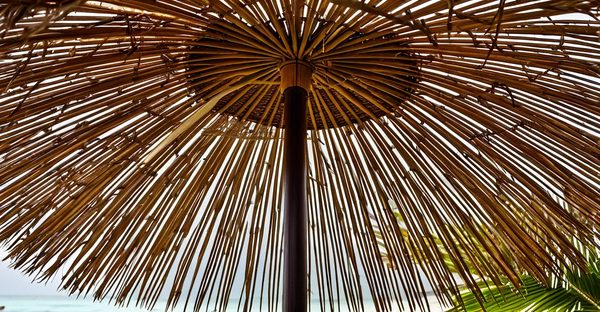 Ombrière coco : alliez style et durabilité pour votre extérieur